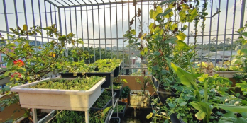 Kẹt tiền giảm 200 triệu bán nhà mặt tiền đang kinh doanh