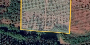 chỉ 85.000/m2, nguồn thu đẹp, sổ sách đầy đủ,chính chủ