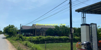 Cần mua đất mặt tiền Nguyễn Hoàng Đông Hà Quảng Trị