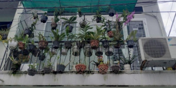 Bán Nhà Quận Tân Phú Hẻm Xe Hơi, Gần Khu Chợ Vải. Hẻm Xe Hơi Trước 4.3m