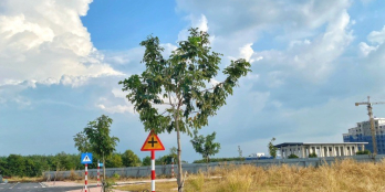 Bất động sản tiềm năng sinh lời cao tại trung tâm TP Tây Ninh, ngay Vincom Plaza