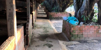 Bán đất nông nghiệp 45000m² tại đường 11, Lộc Ninh, Dương Minh Châu, Tây Ninh