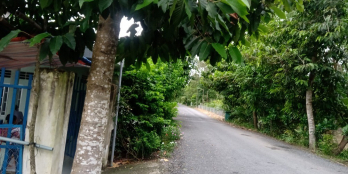 BÁN NỀN THỔ Ở TÂN HẠNH - LONG HỒ - VĨNH LONG