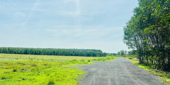 Bán đất thổ cư khu sân bay Lộc An Hồ Tràm, cách biển 3km giá rẻ, sổ hồng sẵn