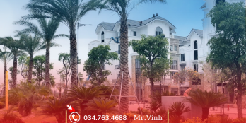 KIM ĐÔ POLICITY - NIỀM TỰ HÀO KINH BẮC