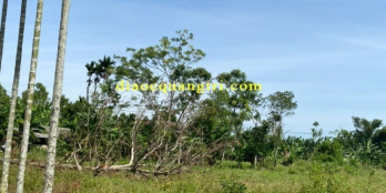  2 Lô liền kề Hải Hưng - Hải Lăng gần Trằm Trà Lộc