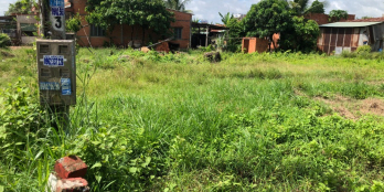 Bán Đất Mặt Tiền Nhựa Thị Xã Trảng Bàng