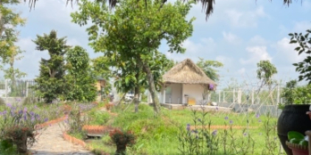 Bán căn nhà vườn ở trung tâm củ chi