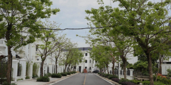 Chung cư 25 tầng đẹp nhất Vĩnh Yên - Vĩnh Phúc