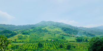 Cần bán gấp lô đất veiw hồ ở Thị trấn Cao Phong giá ưu đãi