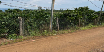 Bán đất trung tâm Tà Đùng mặt tiền đường lớn thích hợp đầu tư phân lô