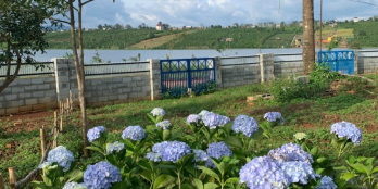 Bán đất nền Phúc Thọ An Lake Villas view hồ giá tốt, bậc nhất nghỉ dưỡng tại Lâm