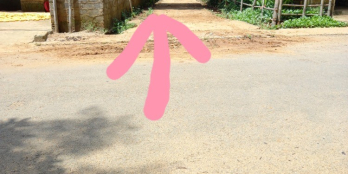 đất giáp thị trấn Ngọc Lặc giá đầu tư