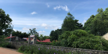 ĐẤT NGỌC PHỤNG Thường Xuân Thanh Hóa