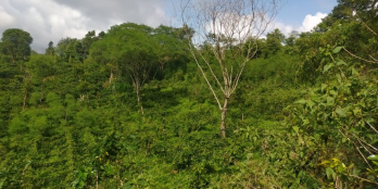 76m mặt đường beton 10430m2 giá chỉ 900 triệu