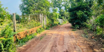 BÁN GẤP 4 SÀO ĐẤT VƯỜN TẠI PHÚ NGỌC ĐỊNH QUÁN