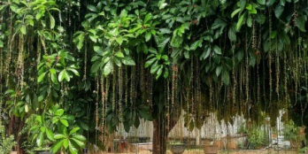 Mặt bằng cổng Vsip 2  mở rộng Vĩnh Tân cần cho thuê