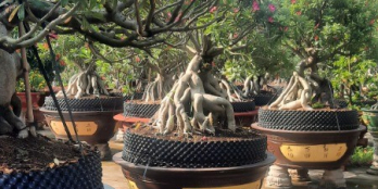 Mặt bằng kinh doanh quán ăn, cafe, buôn bán cần cho thuê