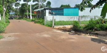 Đất nhà vườn bà rịa diện tích 420m2 đẹp vuông vức đường nhựa 6m