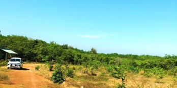 đất sào gần khu công nghiệp  lộc linh giá khởi điểm