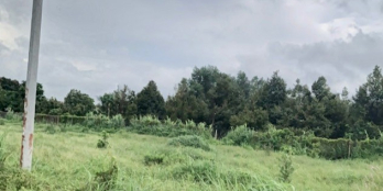 Cần bán gấp vài lô đất Thổ Cư mặt đường nhựa giá siêu rẻ chỉ 400Triệu