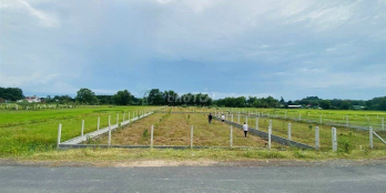 Chỉ Bán Trong 1 Tuần 2000m2 Giá 3.2 Tỷ Huyện Củ Chi