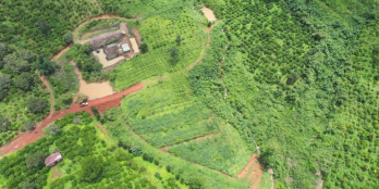 1,5 hecta đất tại Tà Đùng, suối chảy quanh đất. View hồ Tà Đùng siêu đẹp