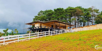 Chính chủ bán đất lô góc 220m2 Full thổ cư, đối diện Kiwuki 2 giá chỉ 1,350 tỷ