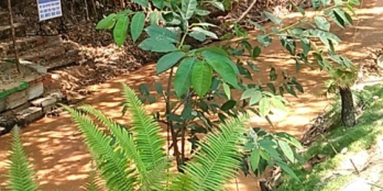 1000m2 MT HUỲNH THÚC KHÁNG,TRUNGTÂM DU LỊCH MŨI NÉ