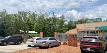 CHUYỂN VỀ SG BÁN GẤP TOÀN BỘ ĐẤT MT ĐƯỜNG NHỰA Ở GÒ DẦU TÂY NINH