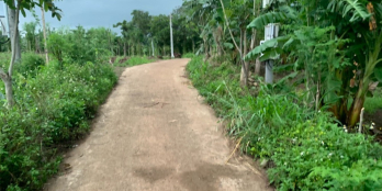 Bán lô cách đường liên xã 500m, gần sông La Ngà, 1,3 tỷ sẵn sổ.