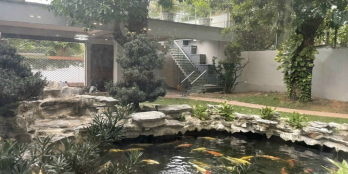 BIỆT THỰ ĐƯỜNG TRẦN NGỌC DIỆN Q.2, DT 1.200M2 GIÁ 169 TỶ SÂN VƯỜN, HỒ BƠI HỒ CÁ