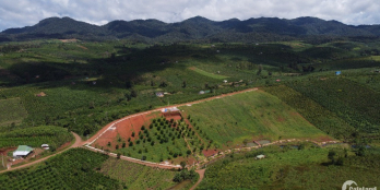 Chính chủ bán hơn 3 sào đất vườn đồi, đường xe hơi, điện nước đầy đủ