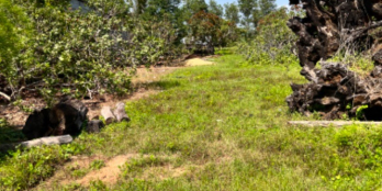 Lô đất chính chủ kẹt tiền cần bán gấp