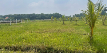 3 sào ngay mặt tiền đường 5m, đã có sổ hồng riêng công chứng ngay