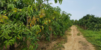 CẦN  BÁN GẤP VƯỜN 1000M VUÔNG 720TR ,PHÚ NGỌC,ĐỊNH QUÁN  SĐT LH 0349 544 767