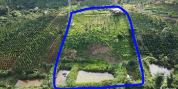 view thông, cách ql 300m,full sổ,nhà lớn, 2 hồ.giá hợp lí