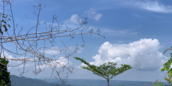 1,1 hecta mặt tiền đường, ôm hồ nước ngọt, view hồ Tà Đùng