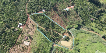 Giá siêu rẻ,ôm suối,có đường đi trên sổ, khu dân cư hiện hữu.cách ql 1,7km,