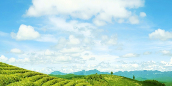 đất nghỉ dưỡng biệt thự view hồ view đồi chè 500m2 300mtc bảo lộc SHR