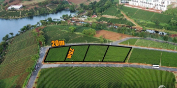 Bán đất Bảo Lộc full thổ cư xây BIỆT THỰ, 200-500m2 giá chỉ 8tr/m2, view Đồi chè