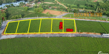 Nền Biệt Thự ven Hồ Bảo Lộc, 500m2 giá chỉ 8tr/m2, sổ sẵn