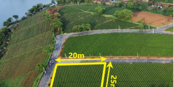 đất biệt thự nghỉ dưỡng view hồ , dồi chè cực độc 500m2 300m2tc, Bảo Lộc