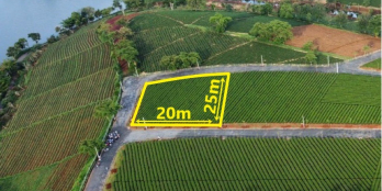 siêu phẩm đất nghỉ dưỡng biệt thự với 500m2 hơn 300mtc bảo lộc