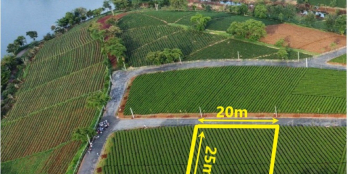 nhanh tay sở hữu ngay cho mình biệt thự nghỉ dưỡng view độc 500m2 300mtc bảo lộc