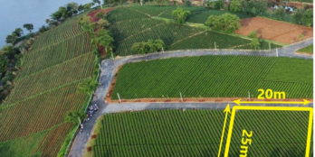 chỉ với vài triệu m2 sở hữu ngay cho mình biệt thự nghỉ dưỡng cực sang trọng