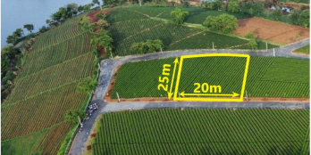 đất siêu đầu tư biệt thự nghỉ dưỡng với nhiều tiện ích 500m2 300tc