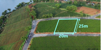 đất nghỉ dưỡng biệt thự 500m2 hơn 300mtc bảo lộc