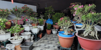 QUẬN 11, HẺM XE TẢI, ĐƯỜNG BÌNH THỚI, P10, 62m2, 5 tầng MỚI ĐẸP, 9 tỷ 5