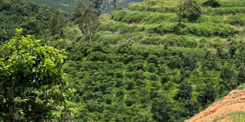 Kẹt tiền cần bán nhanah lô đất gần ủy ban Tân Lạc - Bảo Lâm